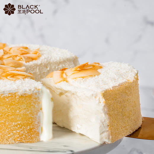 （兑换）【椰子芝士酸奶冰酪】法国进口铁塔淡奶油 椰蓉融入卡士酸奶 口感香浓 馥郁 细腻 商品图1