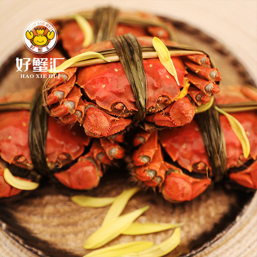 好蟹汇·阳澄湖大闸蟹卡1888型雄蟹4.5两/雌蟹3两五对装【盛元新生活·礼卡】 商品图4