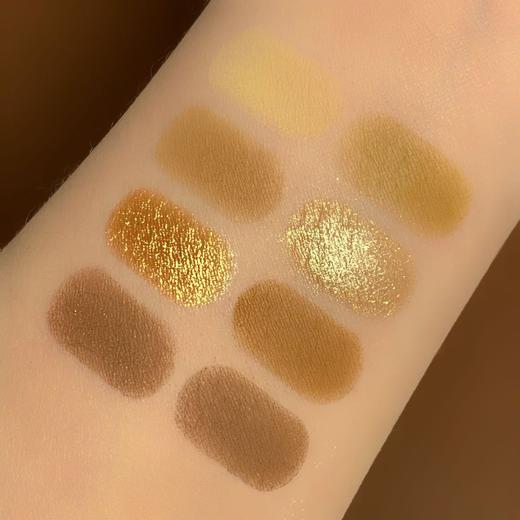 丹黎纳哑光珠光学生大地色沙漠玫瑰眼影跨境美妆产品 商品图1