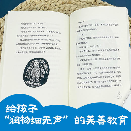 安房直子月光童话 天鹿 商品图3