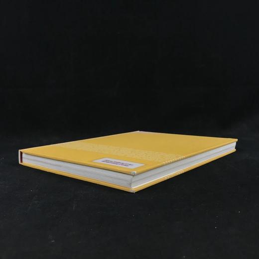 现代主义房屋图集 数百幅插图 精装大16开 商品图1