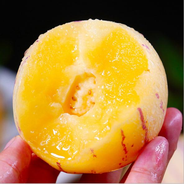 【云南石林人参果】爆浆小炸弹、汁水充沛、清新甘甜