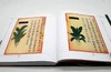 食物本草 商品缩略图7