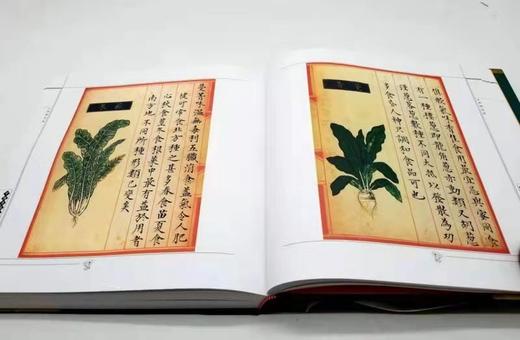 食物本草 商品图7