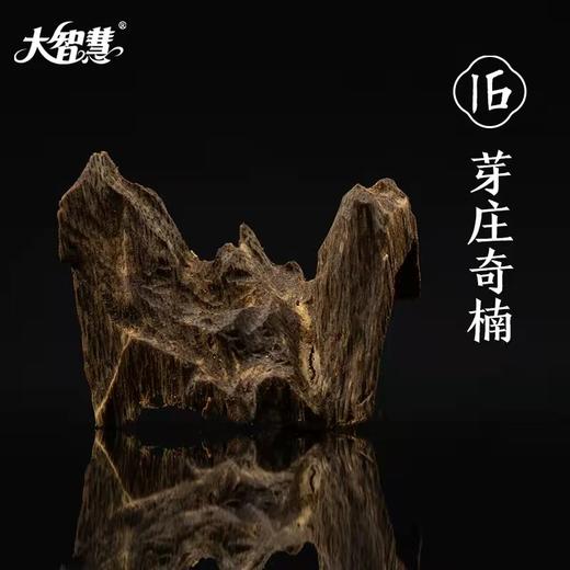 【大智慧】16号芽庄奇楠沉香  九星级 300克 商品图2