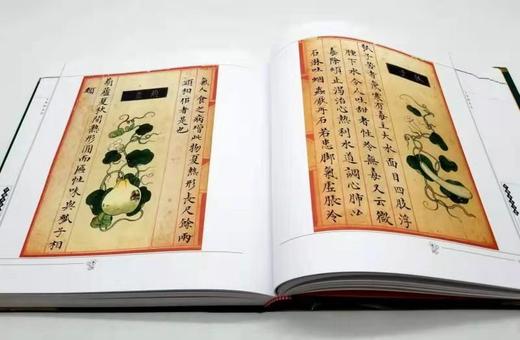 食物本草 商品图8