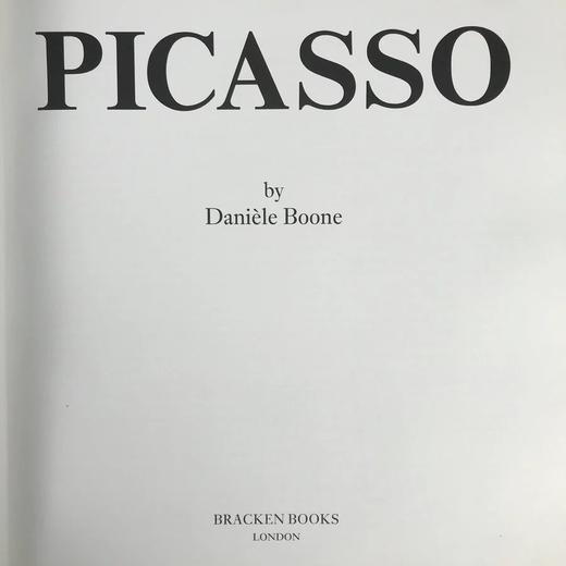 毕加索画集 48幅彩色插图 精装大16开 商品图3