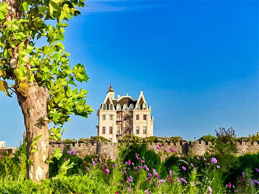 五一4日【长岛烟台】与海鸥同行の深度游长岛-蓬莱仙境-打卡网红养马岛-烟台渔人码头 商品图3