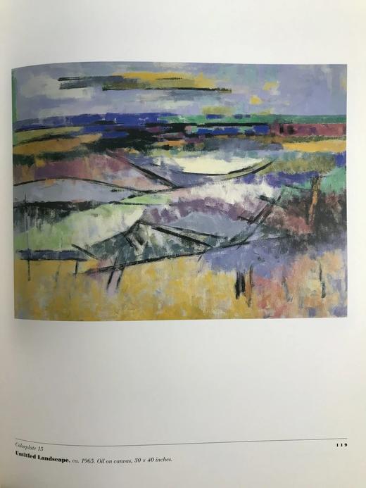 朱迪思·罗斯柴尔德画集 48幅彩色78幅黑白插图 精装大16开 商品图11