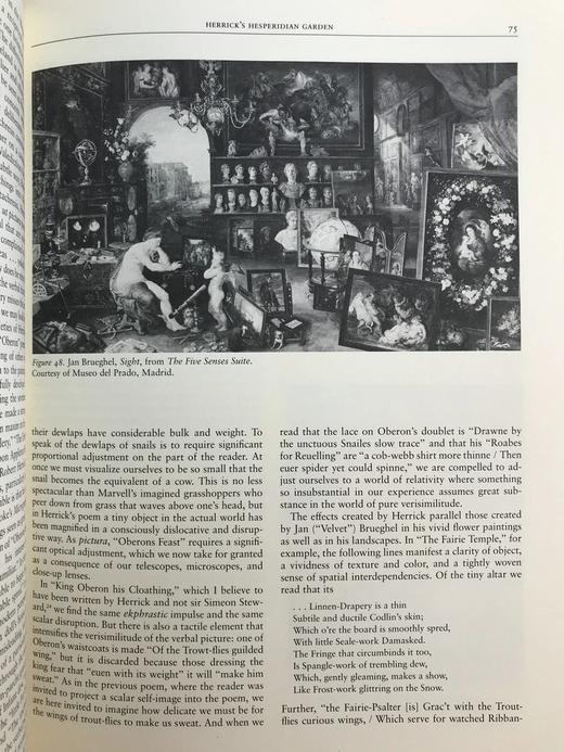 文艺复兴时期英格兰诗人与视觉艺术 117幅插图 精装大16开 商品图9