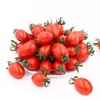 有机樱桃小番茄5斤装 商品缩略图2
