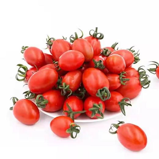 有机樱桃小番茄5斤装 商品图2