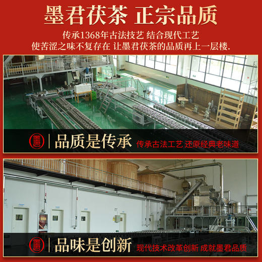 墨君传承1368泾阳茯茶 商品图3