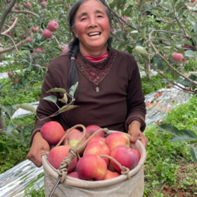 四川大凉山盐源高原红富士丑苹果  地标产品 新鲜水果 皮薄甜脆