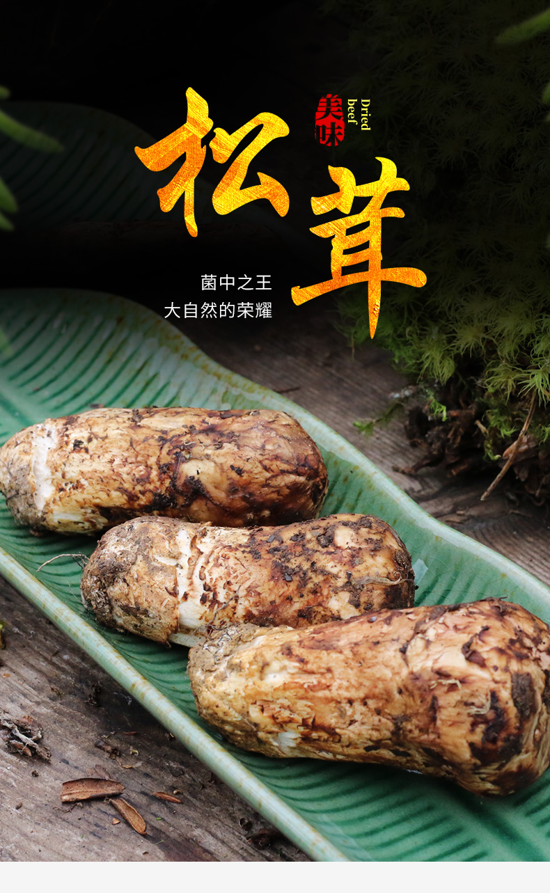现挖一级出口野生松茸新鲜6-13cm骨朵特大a级香格里拉特产菌菇1公斤装