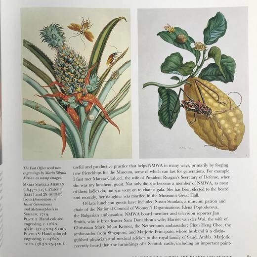 国际女性艺术博物馆图集 约200幅彩色插图 精装大16开 商品图9