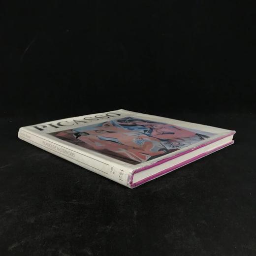 毕加索画集 48幅彩色插图 精装大16开 商品图1