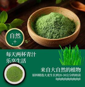 【乐购】 有机大麦若叶青汁粉（全新升级口感1000目）