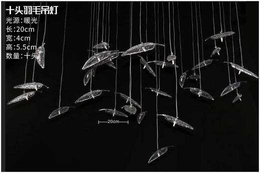 十头羽毛吊灯【运费自理】 商品图0