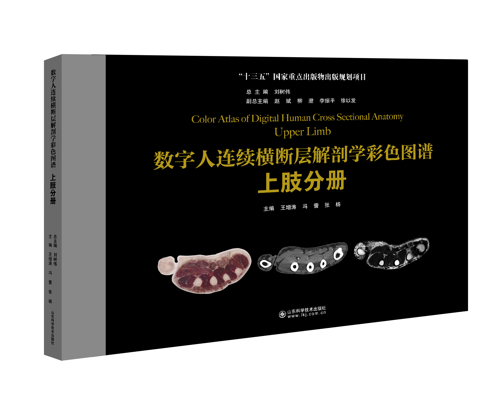 数字人连续横断层解剖学彩色图谱-上肢分册   主编：王增涛 冯蕾 张杨   山科出版