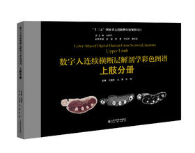 数字人连续横断层解剖学彩色图谱-上肢分册   主编：王增涛 冯蕾 张杨   山科出版