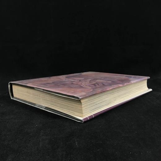 拉鲁斯现代艺术百科全书1800至今 千余幅插图（56幅彩色） 精装大16开 商品图2