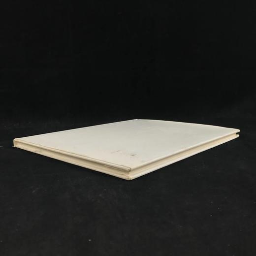 毕加索与立体派画家们 60幅彩色与大量黑白插图 精装大16开 商品图2