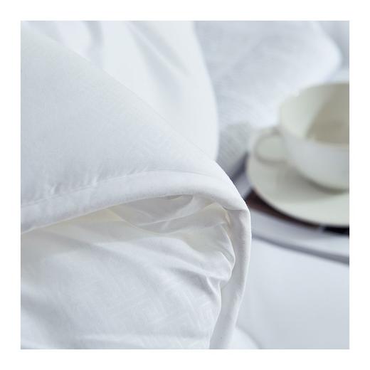 多喜爱  冬被：舒适极暖加厚冬被（白） 商品图2