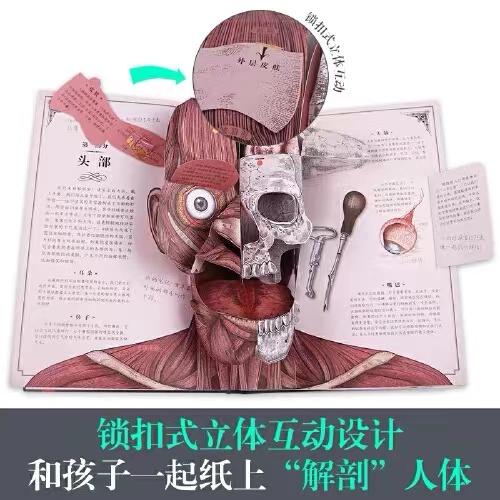 乐乐趣《人体立体书》解剖探索身体奥秘儿童人体百科立体书儿童阅读绘本 商品图5