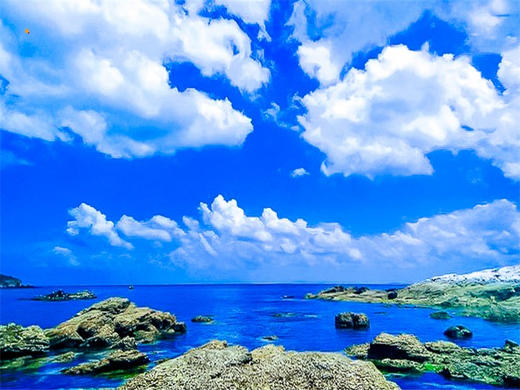 五一4日【长岛烟台】与海鸥同行の深度游长岛-蓬莱仙境-打卡网红养马岛-烟台渔人码头 商品图8