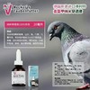 德国原装搏利特【金盔甲纳米穿透液】买一赠一，20ml/防细菌侵害护呼吸道及肠道单眼伤风鸽药 商品缩略图2