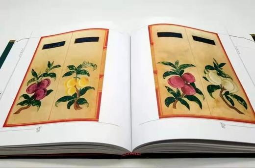 食物本草 商品图11