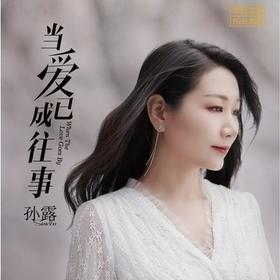 乐升唱片 孙露《 当爱已成往事 》DSD CD车载无损音乐 HIFI女声发烧碟