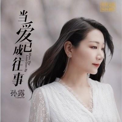 乐升唱片 孙露《 当爱已成往事 》DSD CD车载无损音乐 HIFI女声发烧碟 商品图0