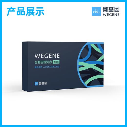 微基因WeGene 全基因组测序青春版 30亿碱基全测序 单件 商品图4