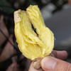 云南高原小黄姜  香味浓 肉质嫩 纤维少  颜色鲜黄  辣味足  新鲜带泥发货更新鲜 家中常备 商品缩略图8