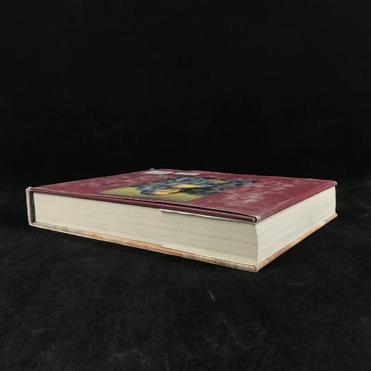 达·芬奇传记与作品 数百幅插图 精装大16开 商品图2