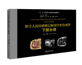 数字人连续横断层解剖学彩色图谱-下肢分册   主编：侯中煜 于台飞 孙博   山科出版