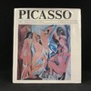 毕加索画集 48幅彩色插图 精装大16开 商品缩略图0