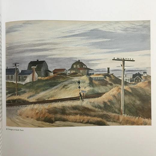 二十世纪美国艺术图集 186幅插图（88幅彩色） 精装大16开 商品图10