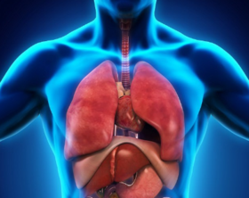 器官从什么时候开始衰老？全身抵抗衰老方法来了！