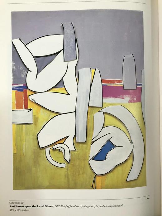 朱迪思·罗斯柴尔德画集 48幅彩色78幅黑白插图 精装大16开 商品图9