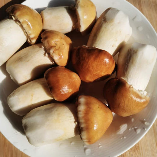 秭归县屈乡深山精选姬松茸55G/罐 商品图4