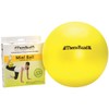 美国赛乐Thera-B瑜伽球mini健身球 普拉提器材家用小号迷你球 商品缩略图0