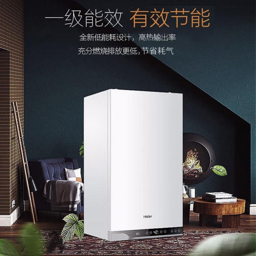 海尔（Haier）壁挂炉LL1PBD20-HN1冷凝式 商品图6