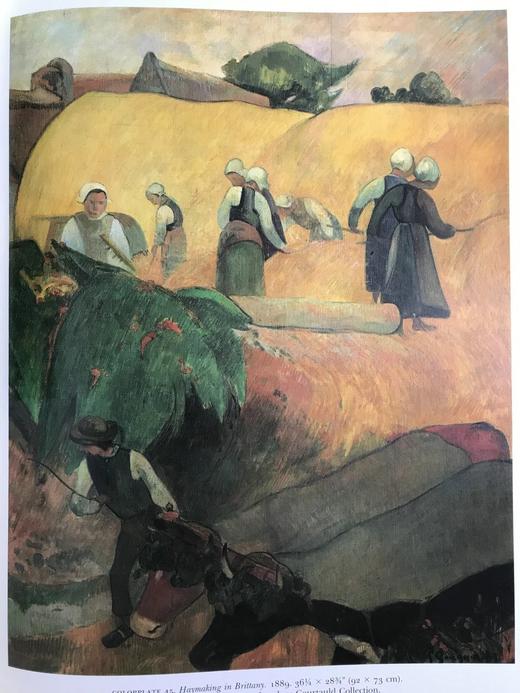 追忆高更 125幅彩色插图 精装8开 商品图13