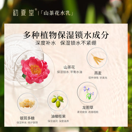 【干皮救星】初夏堂山茶花补水保湿水乳套装补水保湿滋润锁水 商品图2