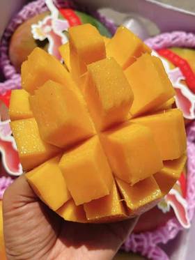 【凯特王妃芒】3头/6头，肉厚核小，纯甜无丝