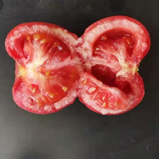 有机大番茄5斤装（粉果） 商品图2