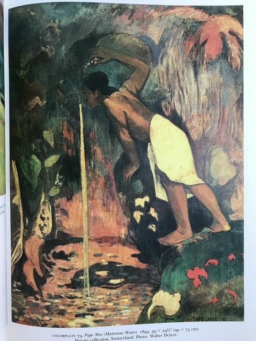 追忆高更 125幅彩色插图 精装8开 商品图9